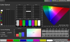 Spazio colore CalMAN