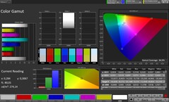 Spazio colore CalMAN