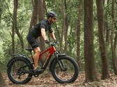 La e-bike Vanpowers GrandTeton-Pro ha un motore da 750W. (Fonte: Vanpowers)
