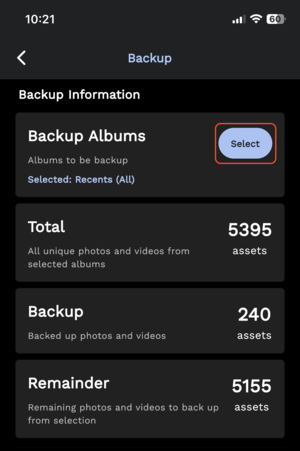 Le applicazioni per iOS e Android sono altrettanto curate e le permetteranno di eseguire automaticamente il backup del rullino fotografico sul suo server (Fonte: Immich)