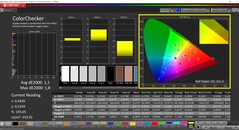 CalMAN Colorchecker (modalità: P3, spazio colore di destinazione: P3)