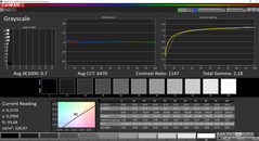 CalMAN Scala di grigi calibrato (spazio colore target sRGB)