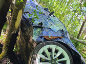 La Model 3 ha sfrecciato per 85 piedi in aria prima di sbattere contro un tronco d'albero (immagine: Black Lake Towing)