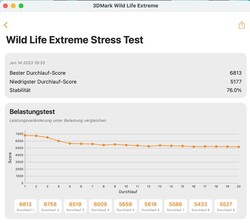 stress test estremo 3DMark Wildlife