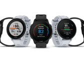 Il Forerunner 955 è disponibile nelle varianti al quarzo e a energia solare. (Fonte: Garmin)