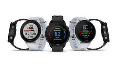 Il Forerunner 955 è disponibile nelle varianti al quarzo e a energia solare. (Fonte: Garmin)