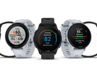 Il Forerunner 955 è disponibile nelle varianti al quarzo e a energia solare. (Fonte: Garmin)