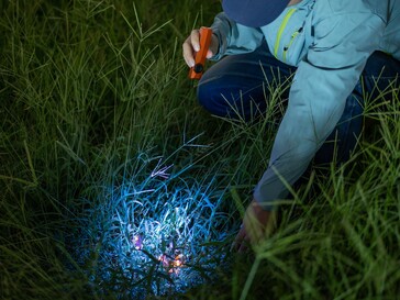 L’Olight ArkPro Ultra è dotato di una luce UV per individuare le macchie organiche.