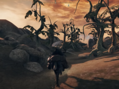 Screengrab dal port in progress di Morrowind con Elden Ring (fonte immagine: InfernoPlus YT)