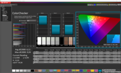 CalMAN - Color Checker