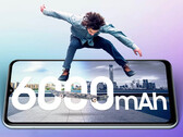 Il Samsung Galaxy F13 dovrebbe raggiungere una lunga autonomia grazie alla sua grande batteria. (Fonte: Samsung via Flipkart)
