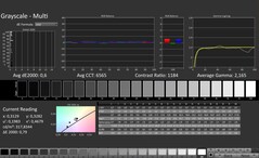 CalMAN: Scala di grigi (calibrata)