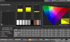 Precisione cromatica CalMAN – Display per esterni
