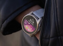 La versione software 17.28 è una revisione minore rispetto all'aggiornamento fornito da Garmin un mese fa. (Fonte: Garmin)