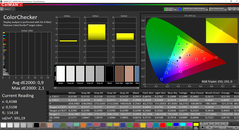 CalMAN colori calibrato (gamut target sRGB)