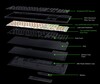 La struttura interna di BlackWidow V4 HyperSpeed TKL (fonte: Razer)