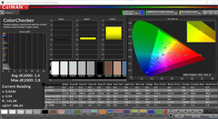 CalMAN ColorChecker (target color space P3)