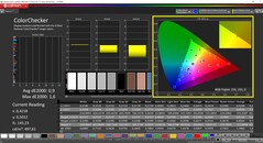 CalMAN ColorChecker calibrato