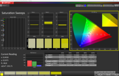 Spazzate di saturazione CalMAN calibrate