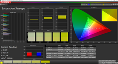 CalMAN Saturation Sweeps (prima della calibrazione)