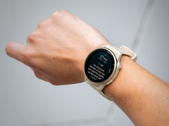 Lo smartwatch Garmin vivoactive 6 sta ricevendo il suo primo aggiornamento beta. (Fonte: Garmin)