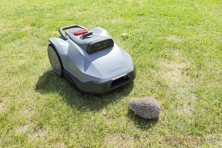 Durante i test, il TerraMow Mini 500 ha rilevato in modo affidabile il nostro riccio finto e altri ostacoli.