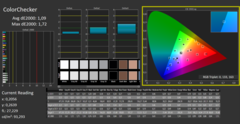 CalMAN - Color Checker (dopo la calibrazione)