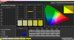 Spazzole di saturazione CalMAN calibrate