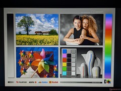 Ampi angoli di visione IPS