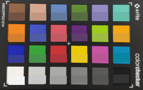 Colori ColorChecker; colore di riferimento nella metà inferiore di ogni quadrato.