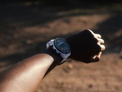 Garmin sta distribuendo la versione software 18.22 per il Forerunner 955. (Fonte: Garmin)