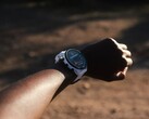 Garmin sta distribuendo la versione software 18.22 per il Forerunner 955. (Fonte: Garmin)