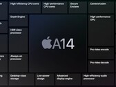 A14 Bionic, il primo chip da 5 nm (Image source: Apple)