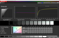 Scala di grigi CalMAN