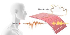 Gli ingegneri dell&#039;UCLA creano un patch per tradurre il discorso muto, i movimenti dei muscoli della gola in un discorso udibile. (Fonte: articolo di Ziyuan Che et al.)