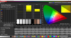 CalMAN ColorChecker calibrato (spazio colore target: sRGB)