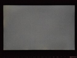 Aloni appena visibili