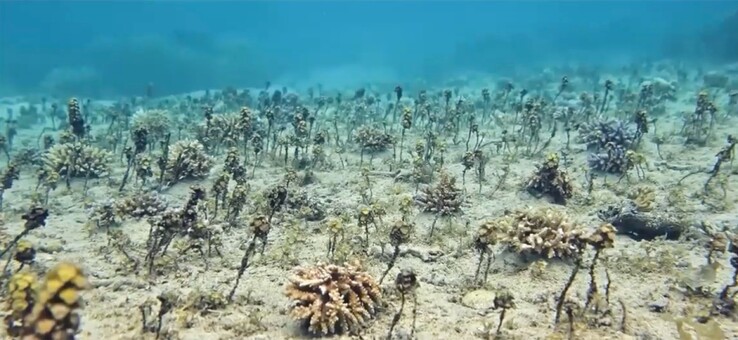 Con la modalità Oceano