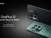 Il OnePlus 12. (Fonte: OnePlus)