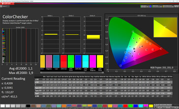 Precisione del colore (schema cromatico standard, temperatura del colore standard, spazio colore target sRGB)