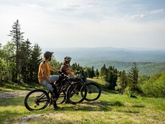 L&#039;e-bike Devinci E-Troy Bosch ha un motore da 85 Nm di coppia. (Fonte: Devinci)