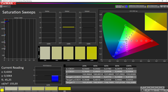 CalMAN Saturation Sweeps calibrato (spazio colore target sRGB)