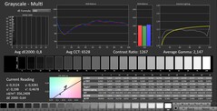 CalMAN: scala di grigi (calibrata)