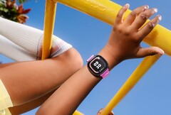 Google sta distribuendo un importante aggiornamento per il Fitbit Ace, che attualmente è disponibile solo negli Stati Uniti. (Fonte: Google)