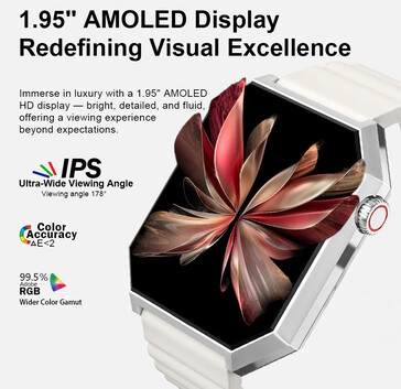 Questo indossabile ha uno schermo AMOLED e una corona (Fonte: Rollme)