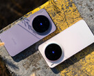 Vivo X300 e Vivo X300 Pro saranno i primi smartphone a essere lanciati con OriginOS 6. (Fonte: Vertrax)