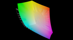 rispetto ad AdobeRGB