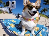 OpenAI presenta Sora, che offre una generazione fotorealistica di testi e video (Fonte: OpenAI)