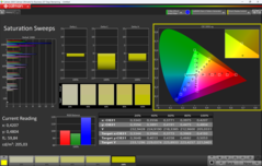 CalMAN Saturazione calibrata