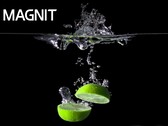 La serie MAGNIT ha un nuovo membro. (Fonte: LG)